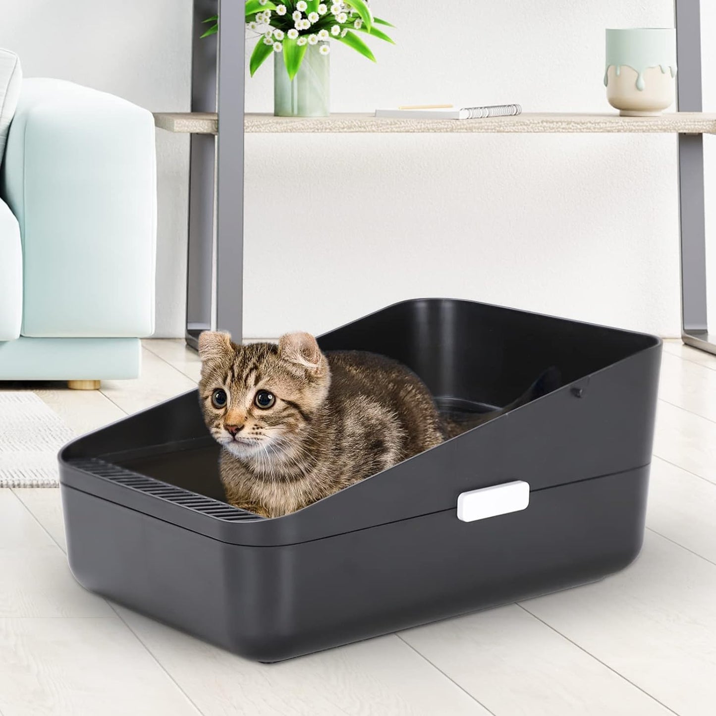 Open Litter Box,Durable High Side Sifting, Secure and Odor Litter Box, Removable Litter Box, Easy to Clean Litter Box for Cats up to 8 Pounds(Black Small)